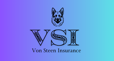 Von Steen Insurance