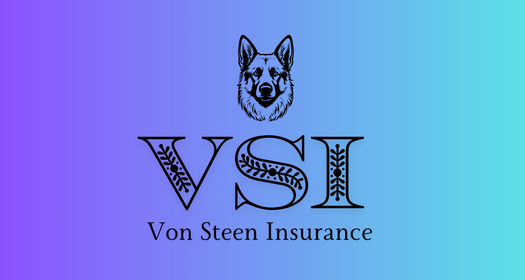 Introducing Von Steen Insurance: Comprehensive Coverage for Every Phase of Life